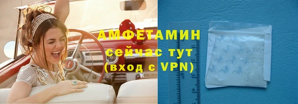 стафф Касимов