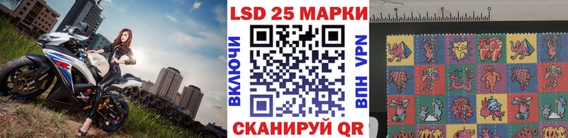 купить наркотик  Новоалександровск  Наркотические марки 1,8мг 
