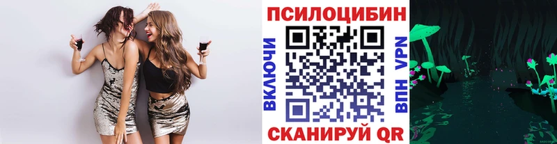 Галлюциногенные грибы прущие грибы  Новоалександровск 