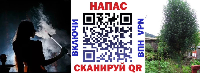 Бошки Шишки AK-47  Новоалександровск 